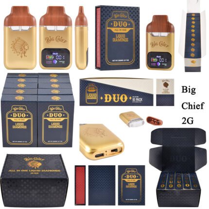 Big Chief V2 2G Disposable Dual Chambers 20 Flavors Wholesale